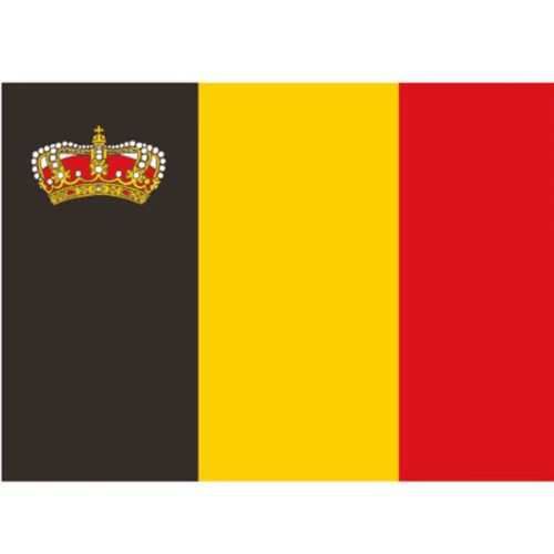 Talamex Vlag Belgie 20 x 30 cm met kroon