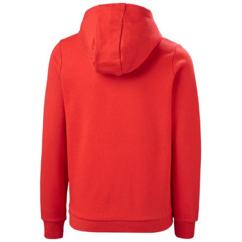 Helly Hansen Logo Hoodie 222 alert 140/10