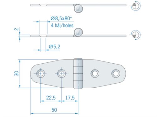 Scharnier RVS 100x30mm