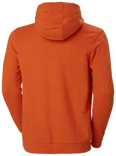 33977 Logo Hoodie 300 orange