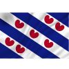 Talamex Vlag Friesland 20 x 30 cm