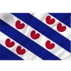 Talamex Vlag Friesland 30 x 45 cm