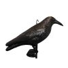 Haba Vogelverschrikker zwarte kraai kunststof